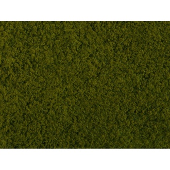 Foliage  light green, 20 x 23 cm