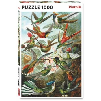 PUSLE Humming birds 1000TK PIATNIK