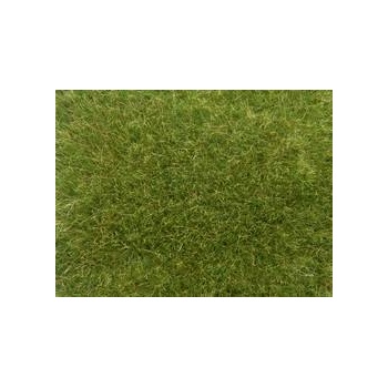 Wild Grass XL roheline 50g 9mm