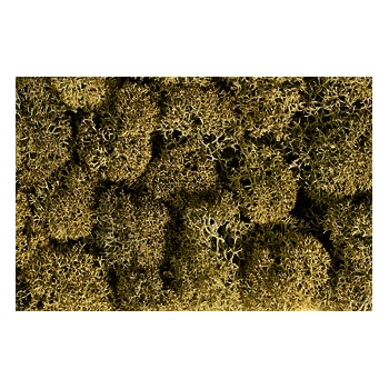 Lichen stone gray, 35 g