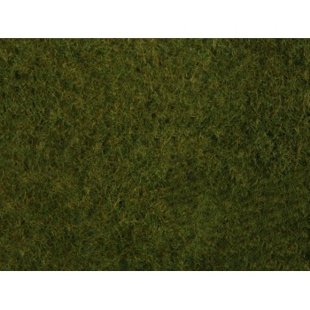 20329-07282.jpg