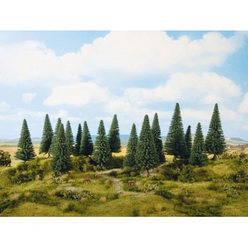 20333-fir_trees.jpg