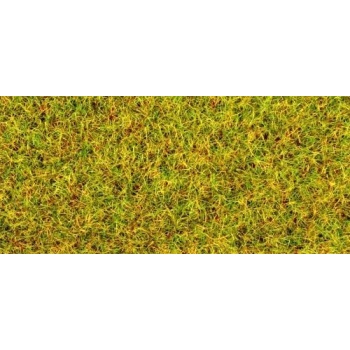 Murupuru suvine 20g