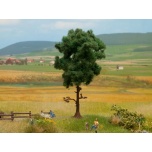 Pine Tree 12 cm high
