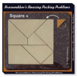 Krasnoukhov brain puzzle Ruut