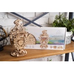 Automaton Cyclist Model