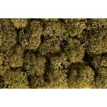 Lichen stone gray, 35 g