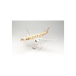 1/200 Condor Airbus A330-900neo “Beach” - new 2022 colors – D-ANRC SNAP-FIT