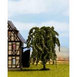 Weeping Willow 11 cm hoch
