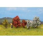 Bushes in blossom, 5 pieces, 3 - 4 cm high