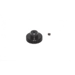 31T Pinion Gear 48dp - S10