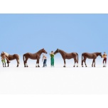 1/87 H0 Horse Care