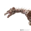 21715-ironbellydragon-ligal8.webp.webp
