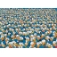 21833-puzzle-clementoni-1000-pieces-impossible-donald-duck.jpg.webp