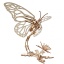 Butterfly Model