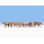 1/87 H0 Cows, brown