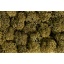 Lichen stone gray, 35 g