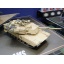 1/35 TAMIYA ABRAMS M1A2 120 MM