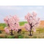 Almonds 2 pieces, 8 and 9 cm high